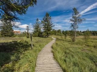 Cantons de l'Est - Hautes-Fagnes