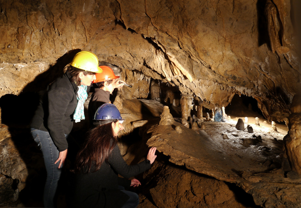 Grotte de l'Abime Les découvertes de Comblain