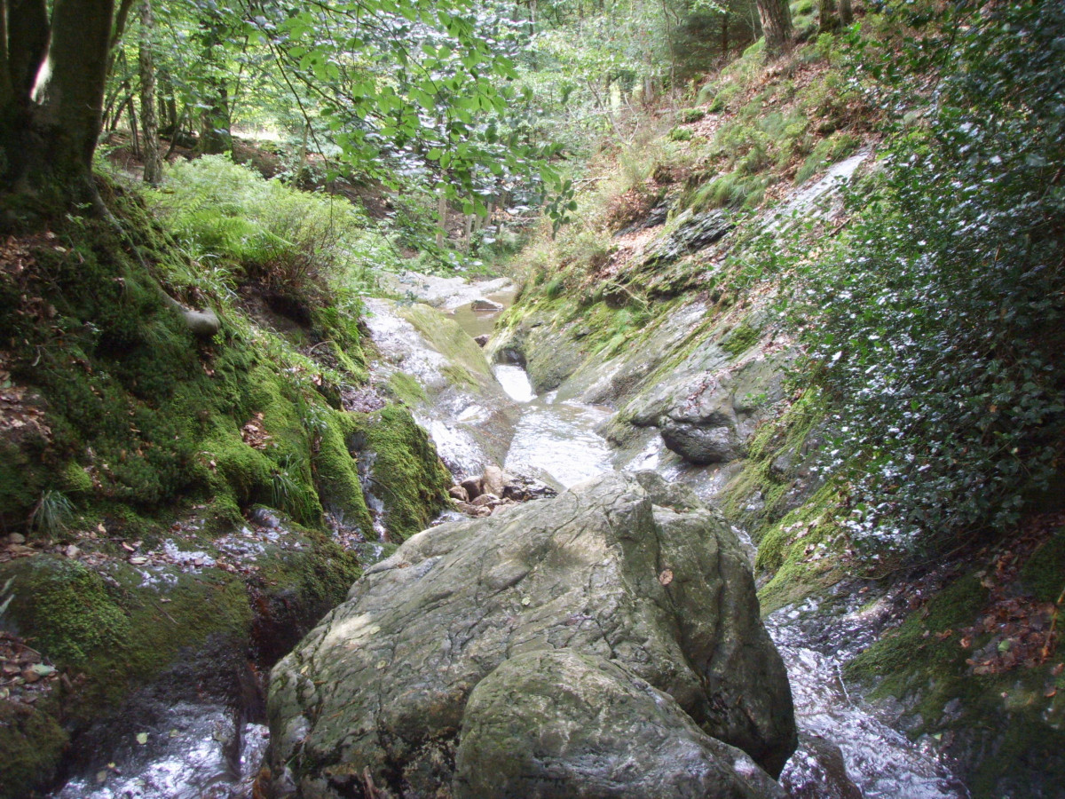 Vallon du Ninglinspo