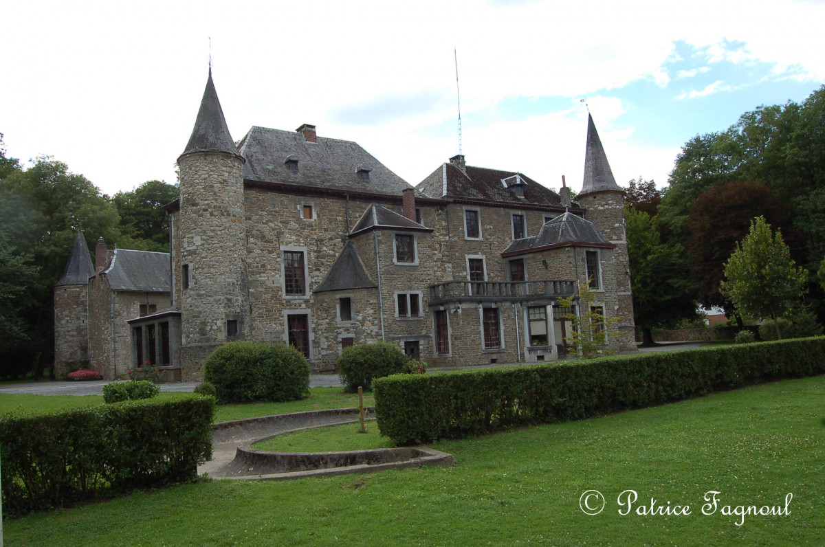 Chateau du Vieux Fourneau