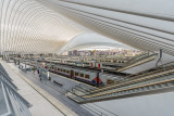 Gare de Liège-Guillemins - architecte Santiago Calatrava