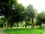 Arboretum de Coingsoux_©RSIL (1)