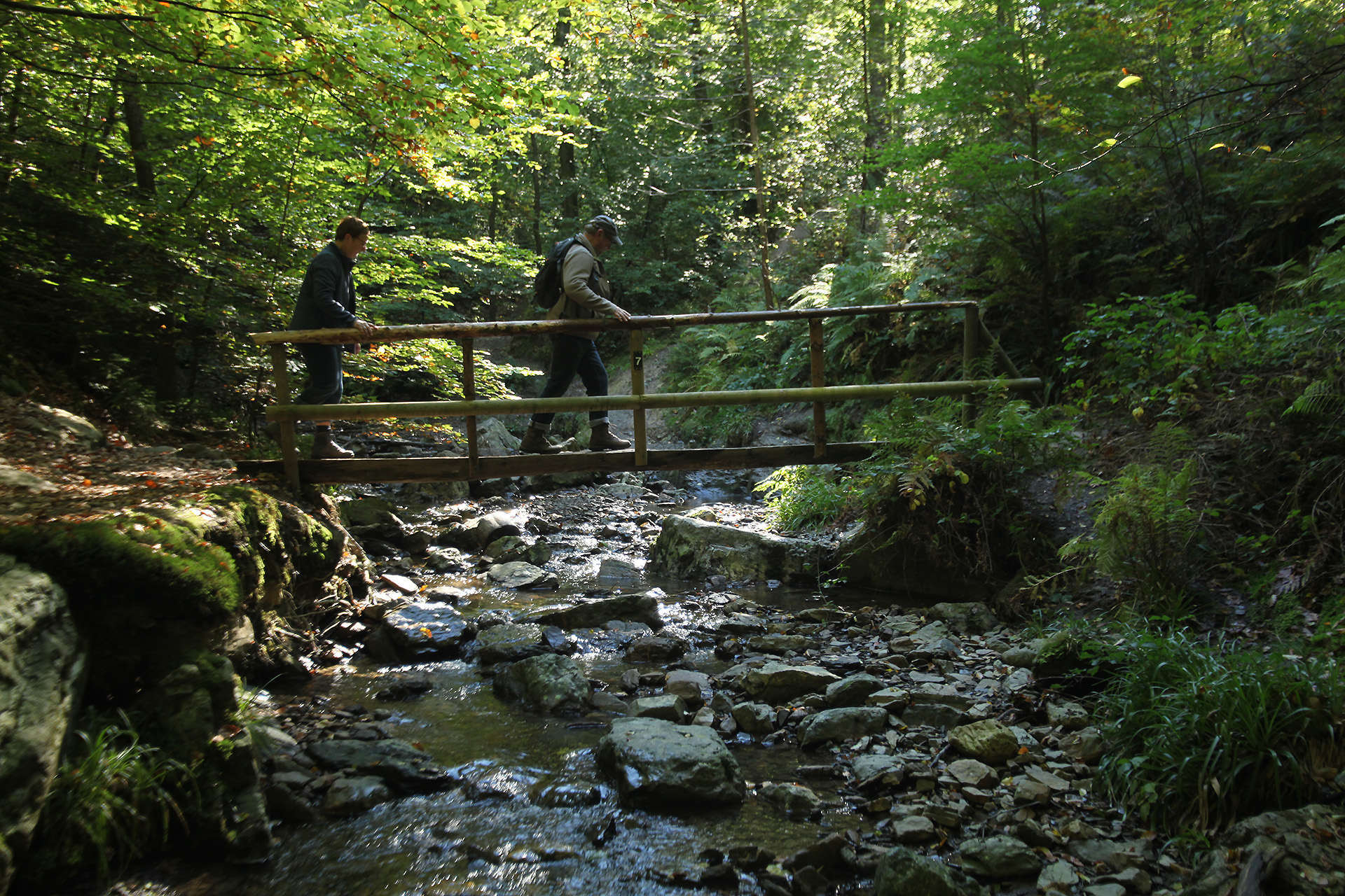 Vallon du Ninglinspo